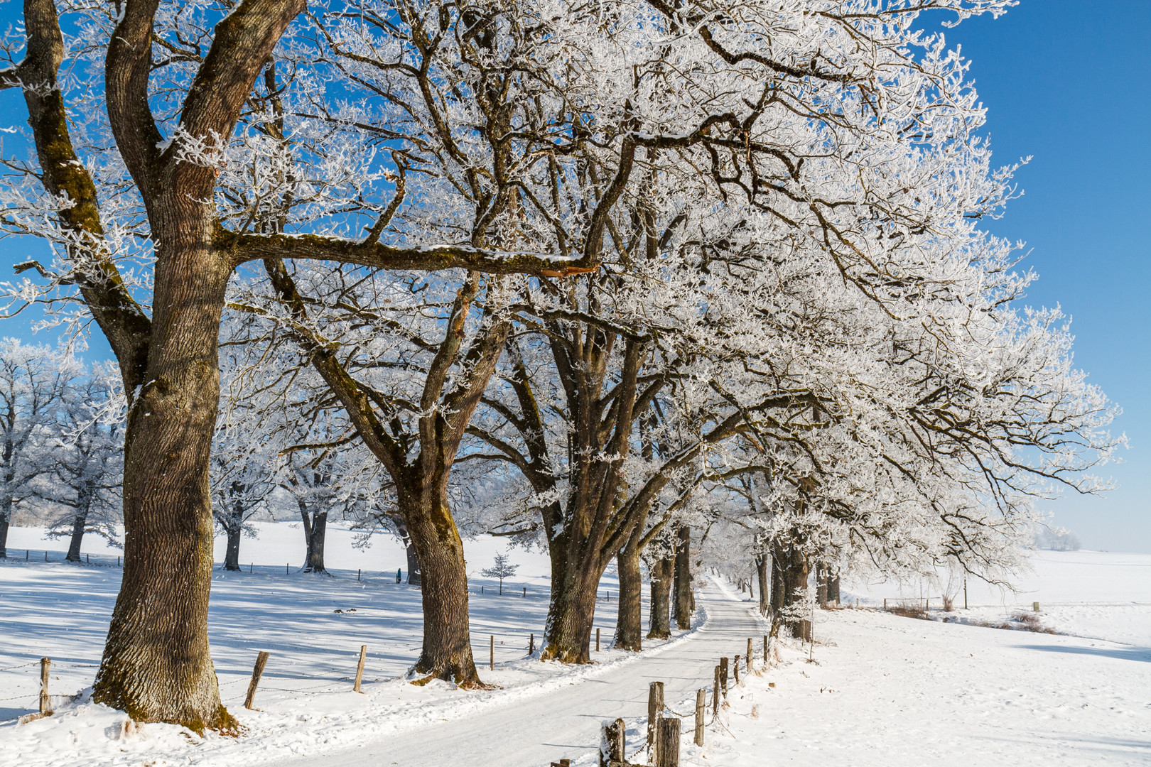 Winterspaziergang