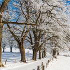 Winterspaziergang