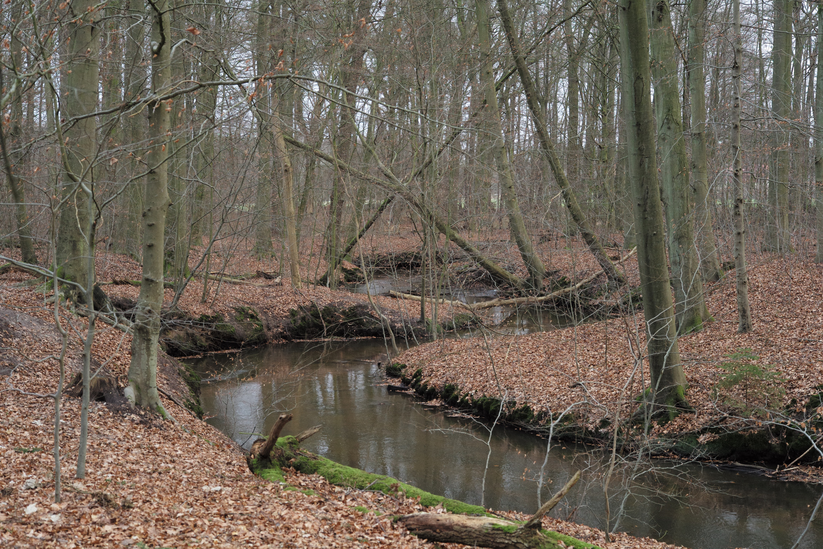 Winterspaziergang