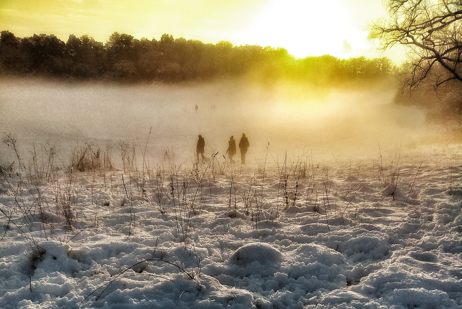 Winterspaziergang 