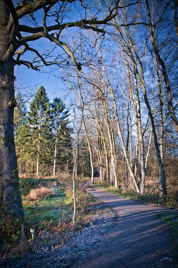 Winterspaziergang