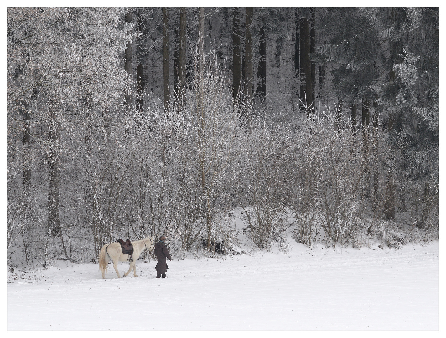 Winterspaziergang