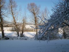 winterspaziergang