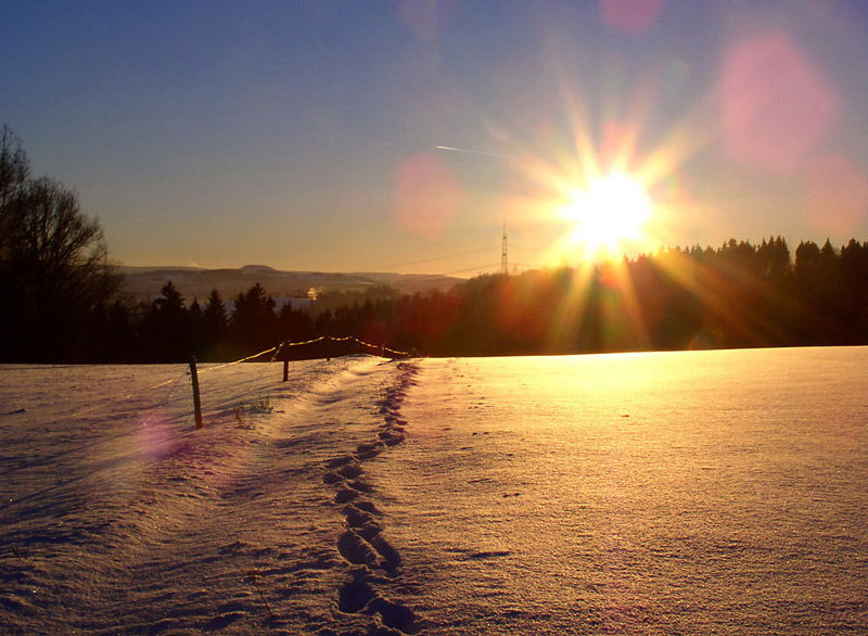 Winterspaziergang