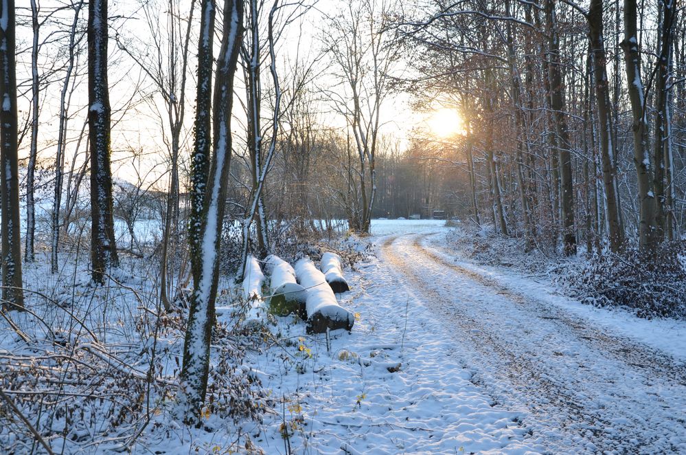 Winterspaziergang