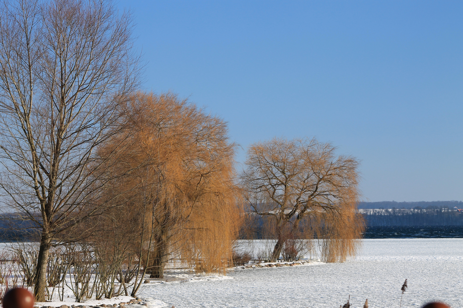 Winterspaziergang