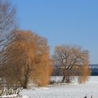 Winterspaziergang