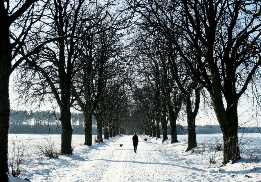 Winterspaziergang