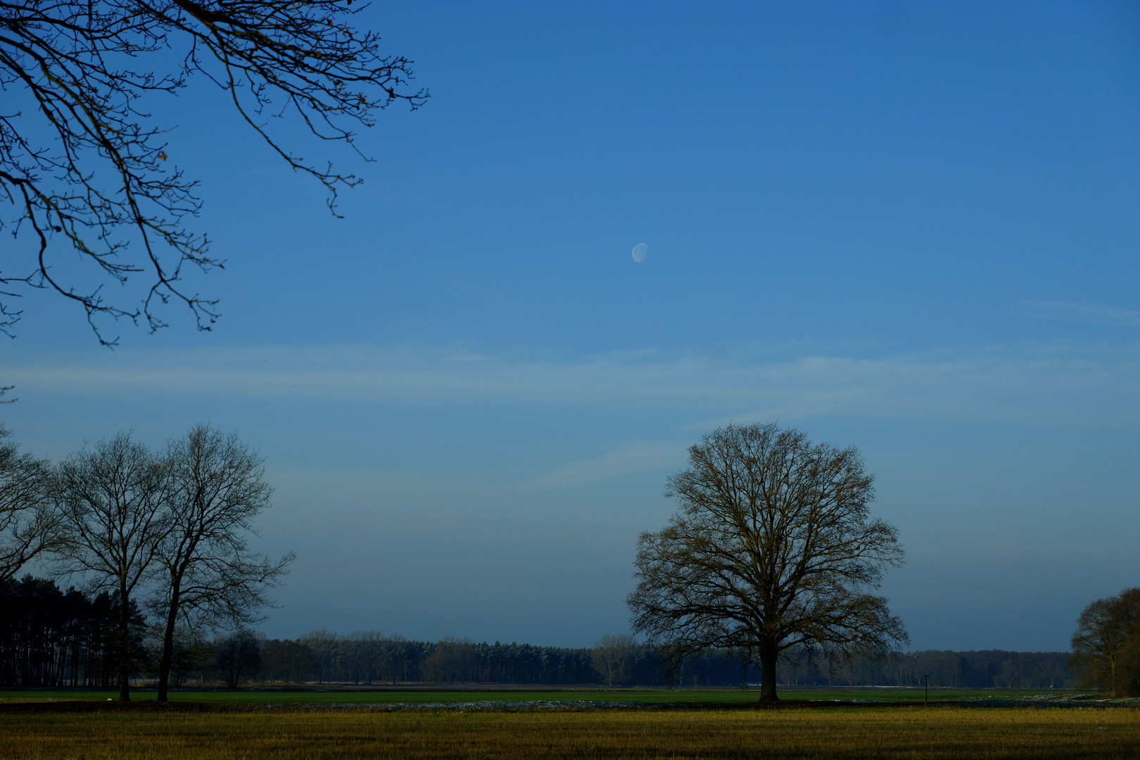 Winterspaziergang