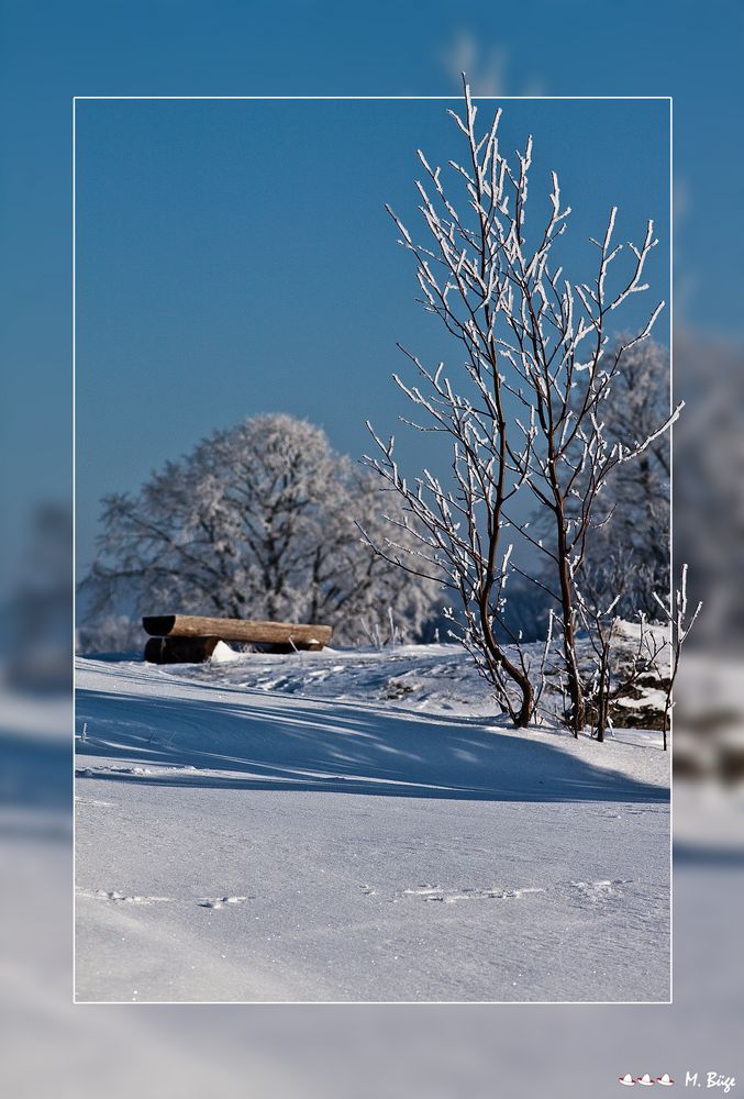 Winterspaziergang von M. Büge 