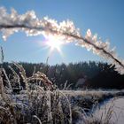 Winterspaziergang