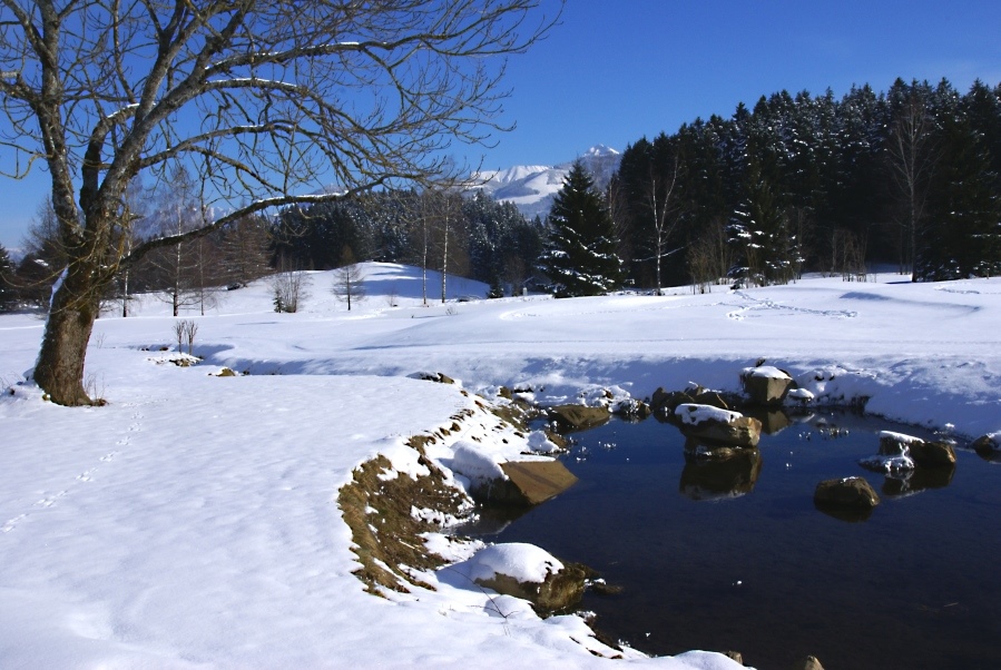 Winterspaziergang