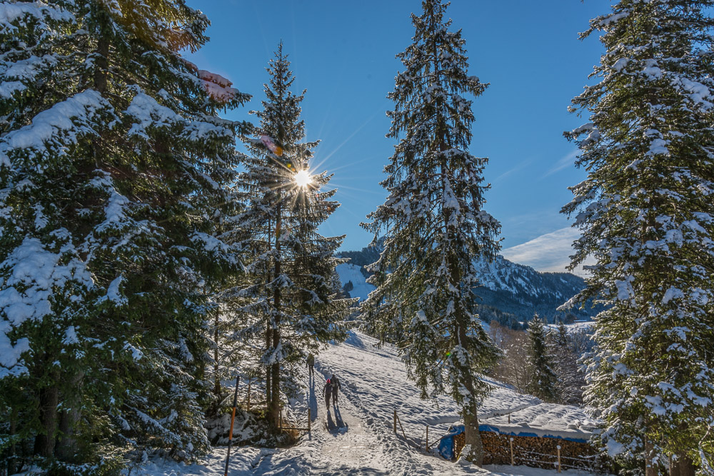 Winterspaziergang