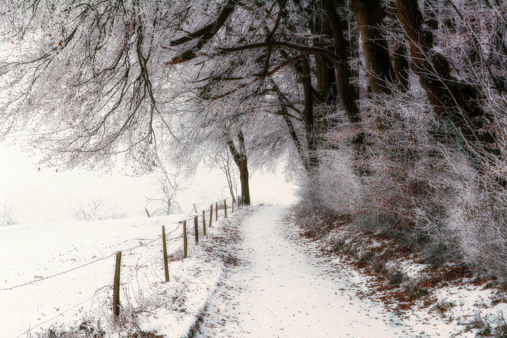 Winterspaziergang