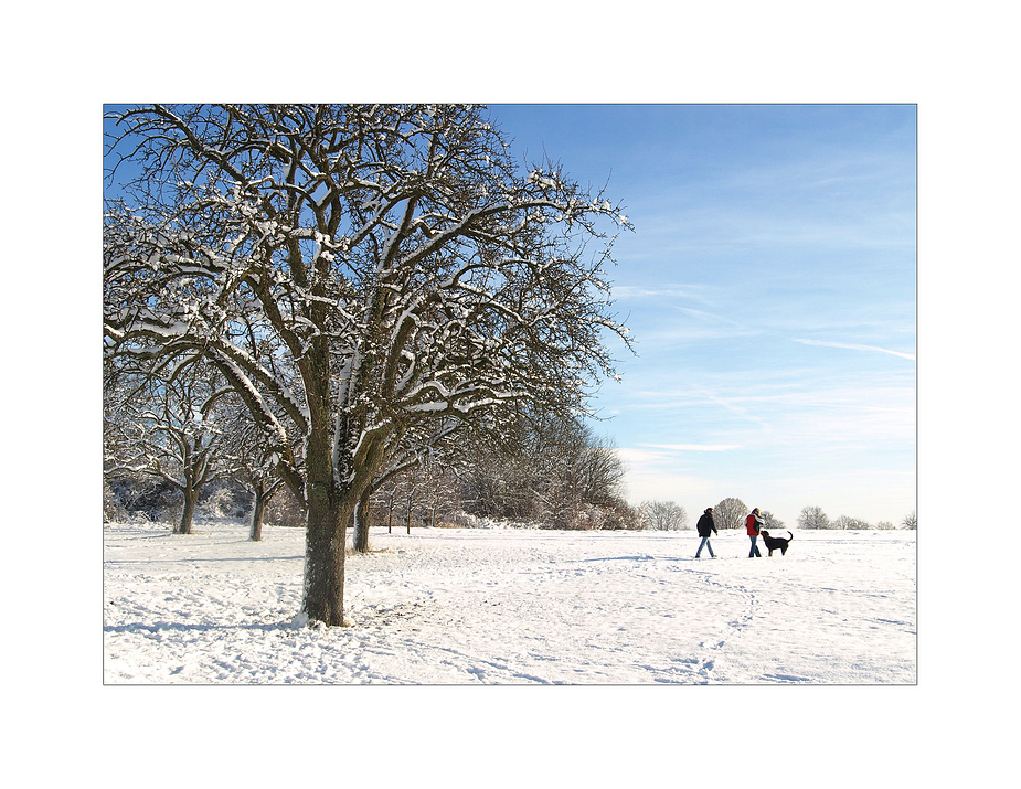 --- winterspaziergang  ---