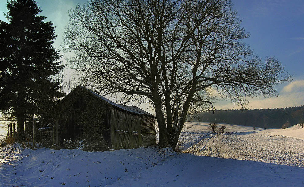 Winterspaziergang