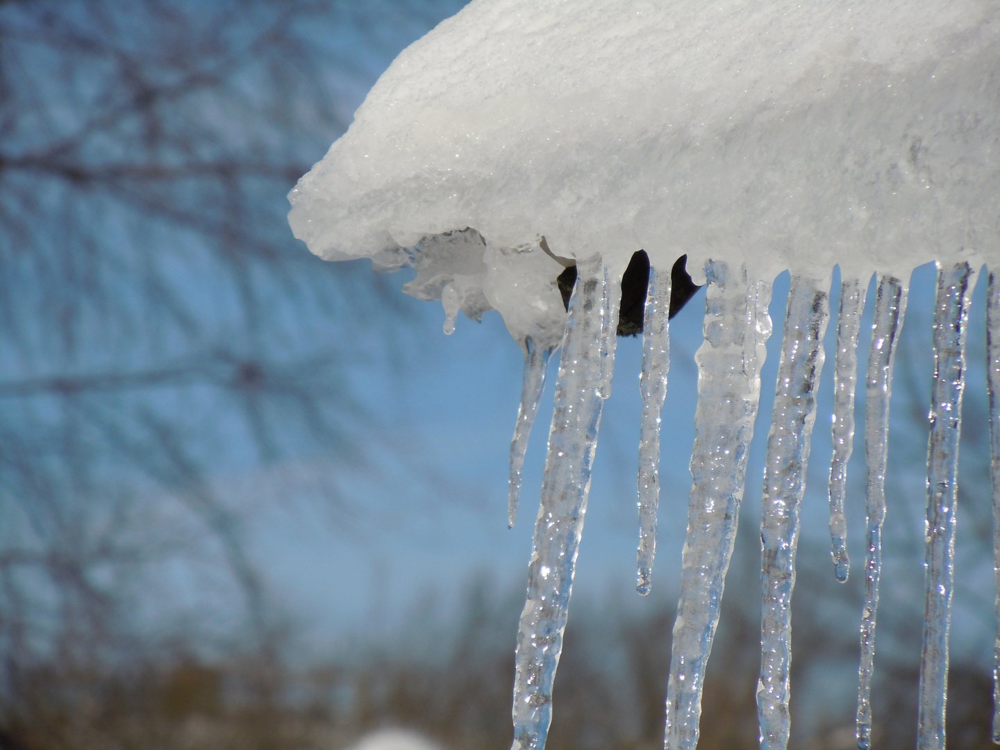 Winterspaziergang