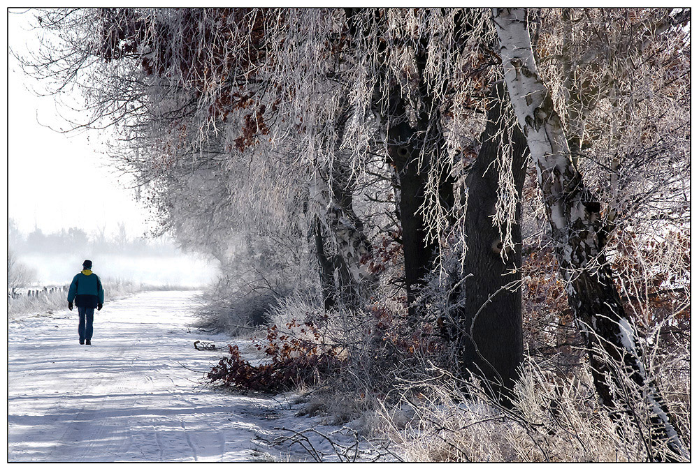 Winterspaziergang