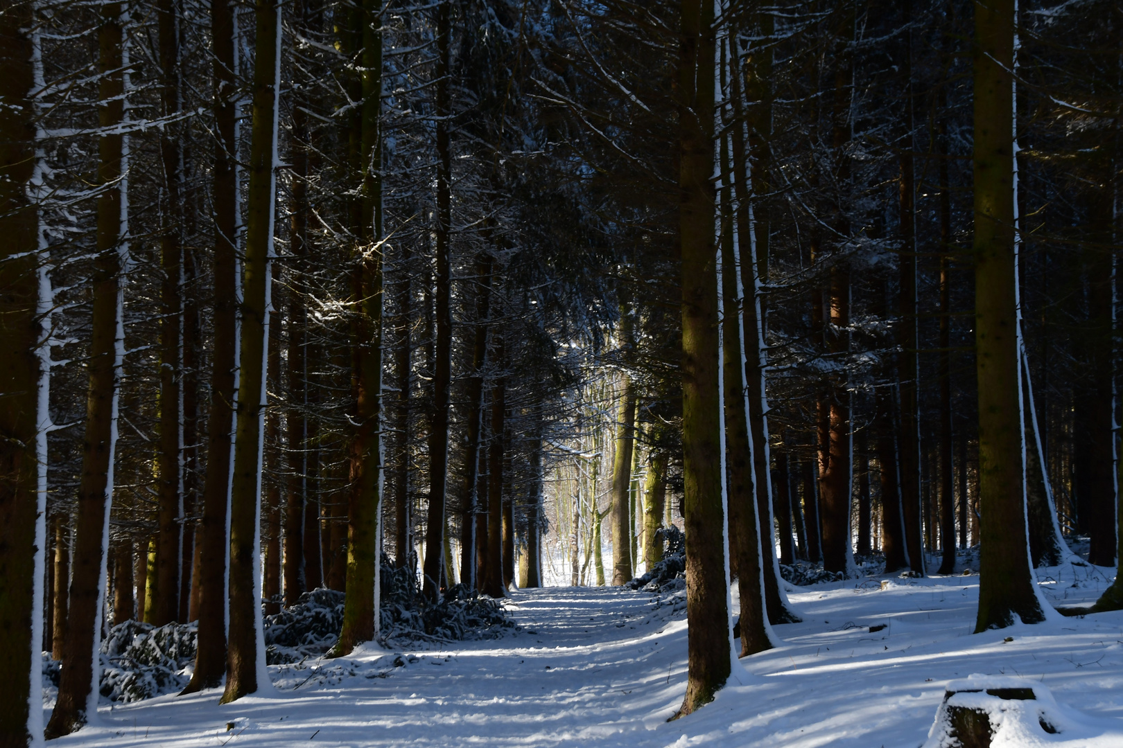 Winterspaziergang