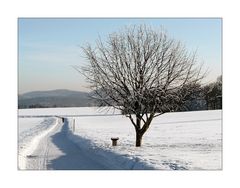 Winterspaziergang