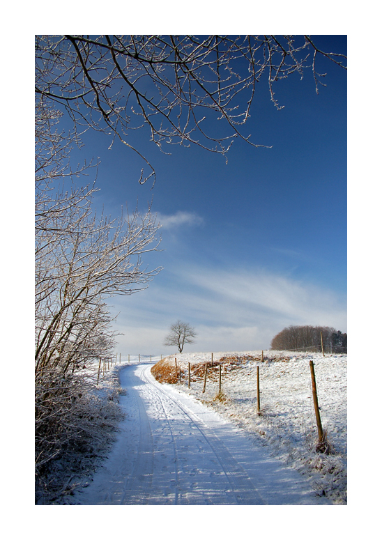 Winterspaziergang