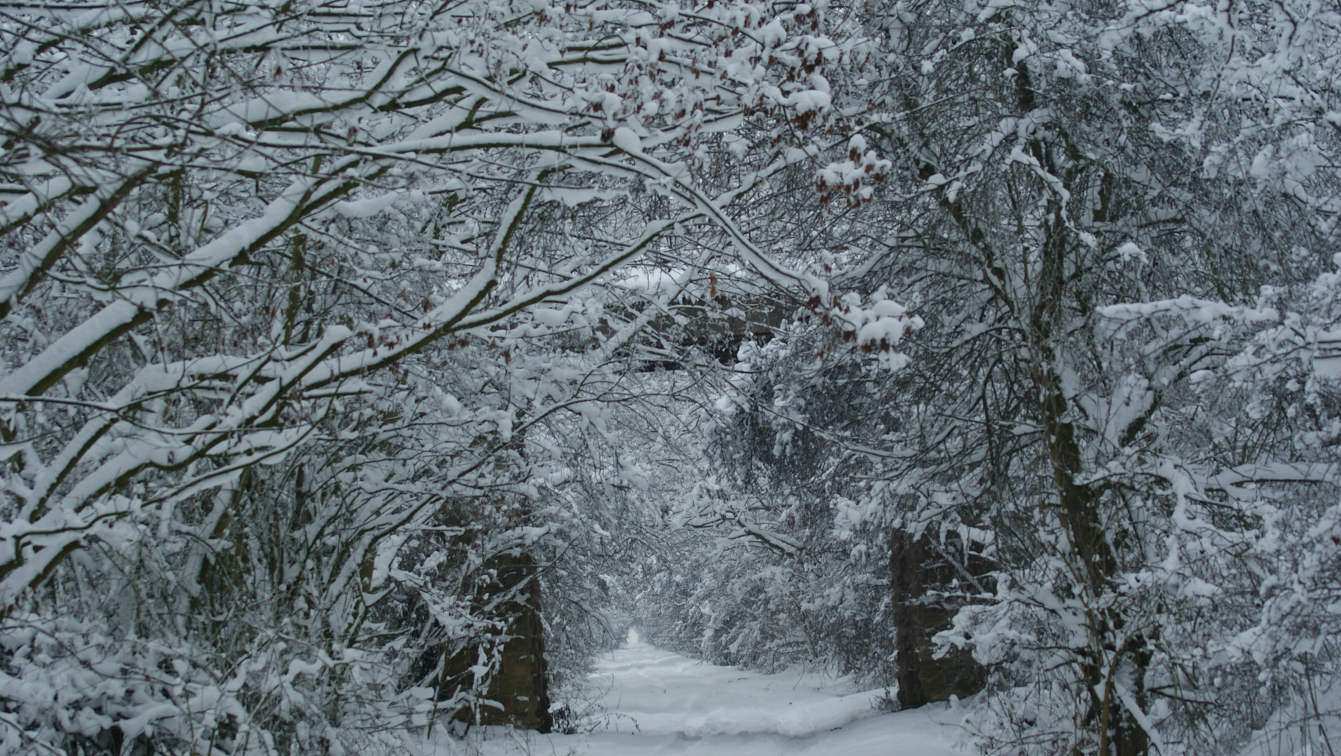 Winterspaziergang