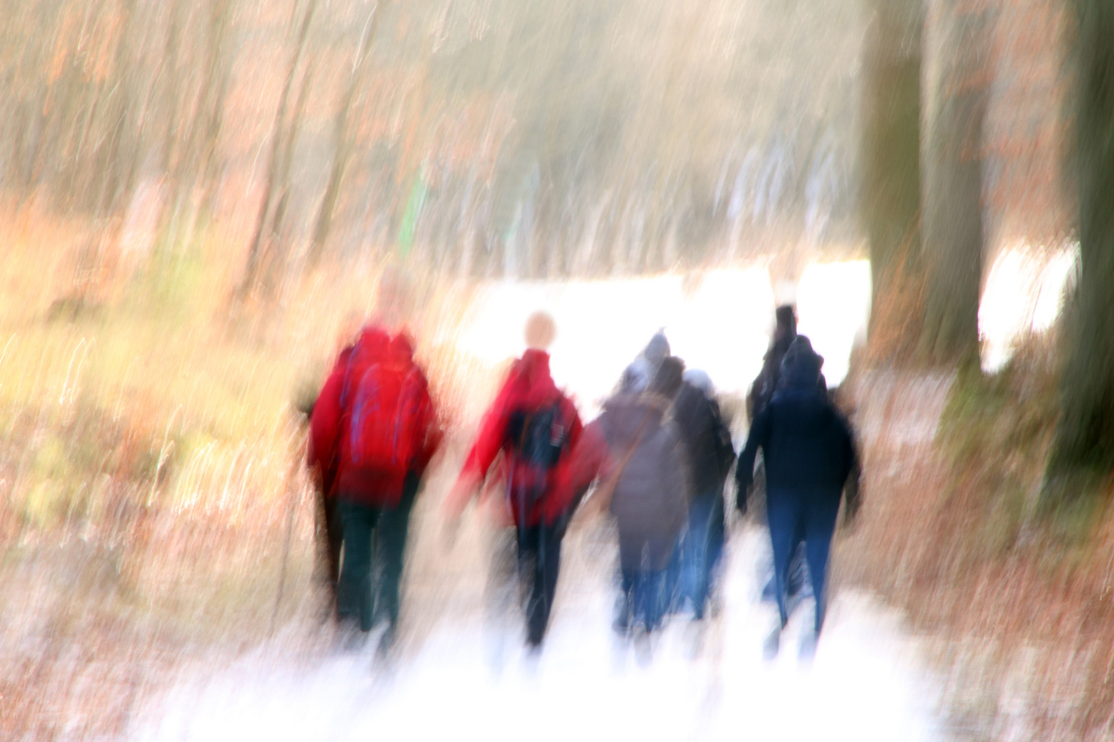 WinterSpaziergang Foto & Bild | fotos, spezial, dokumentation Bilder ...