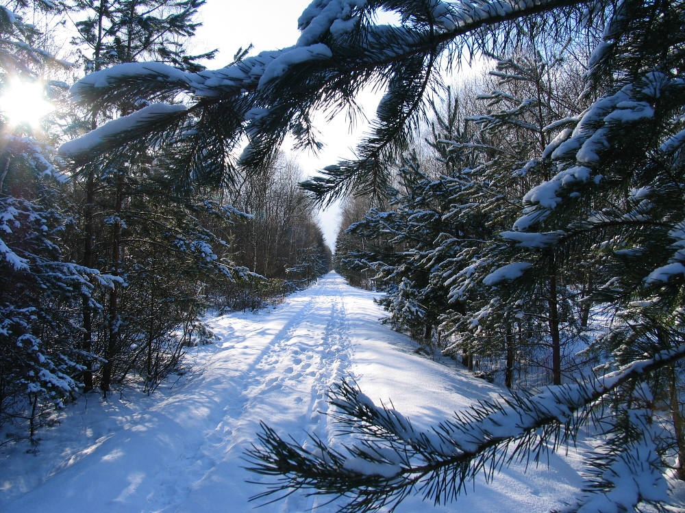 Winterspaziergang