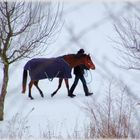 Winterspaziergang?