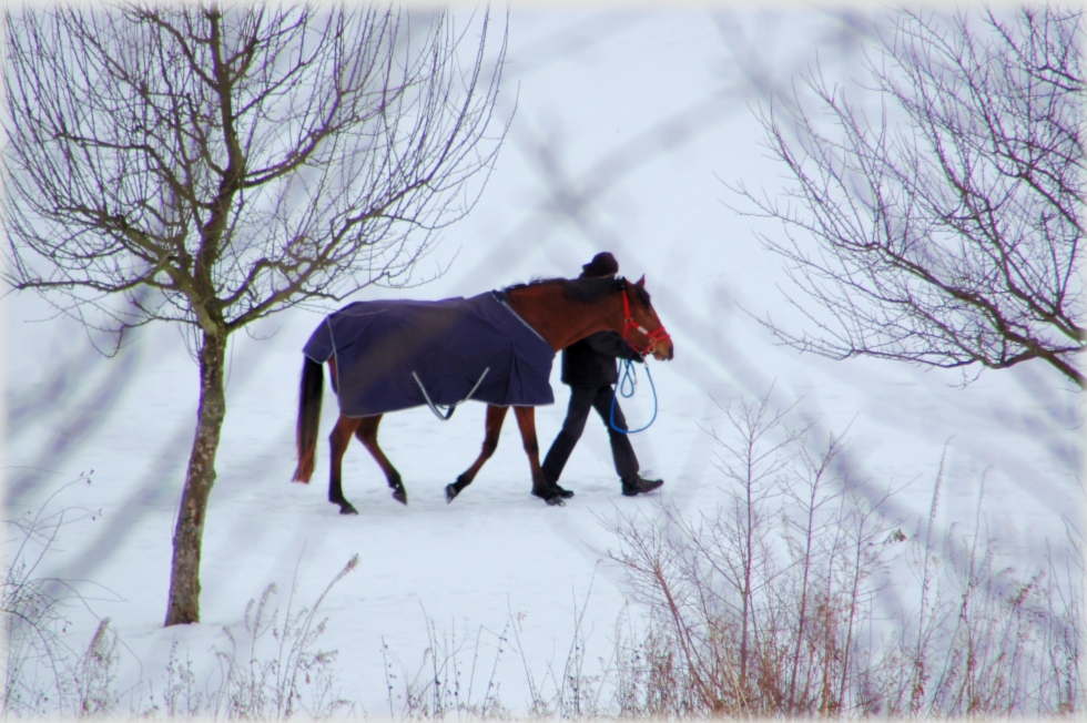 Winterspaziergang?