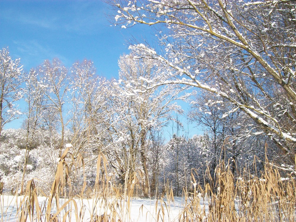 winterspaziergang