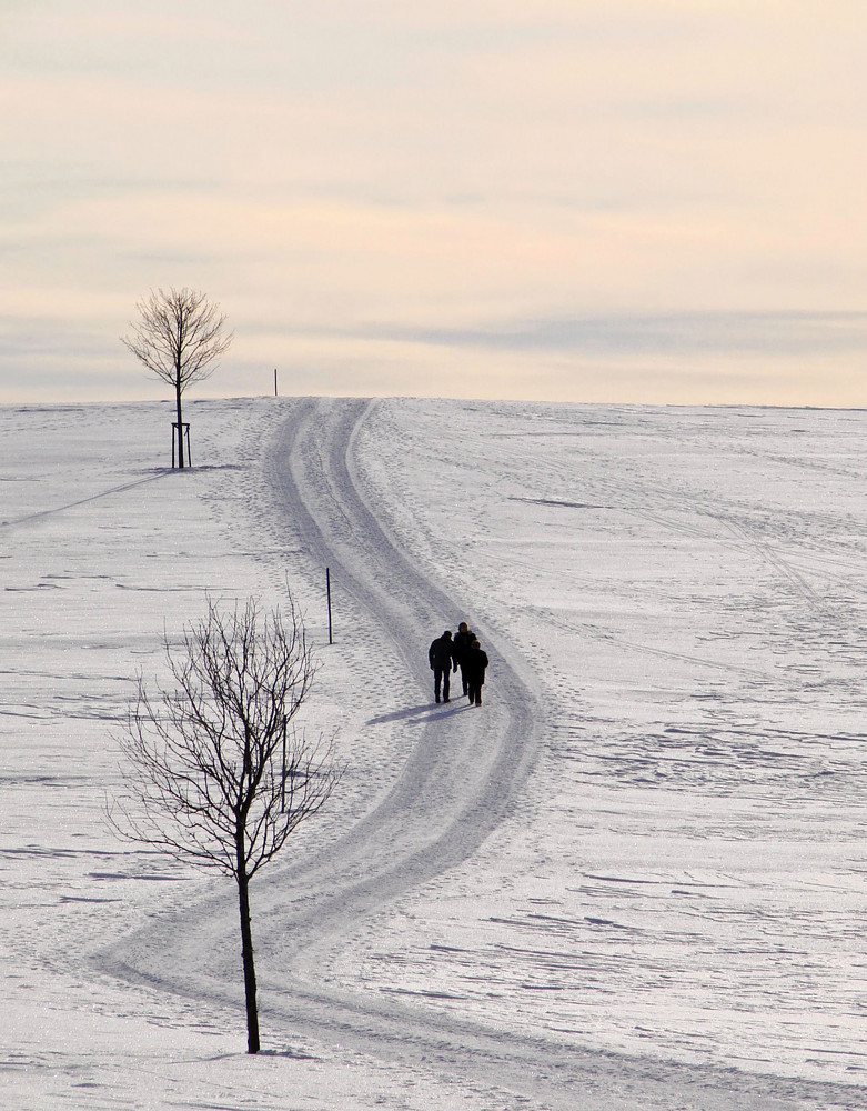 Winterspaziergang von Gerhard Polzin 