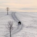 Winterspaziergang