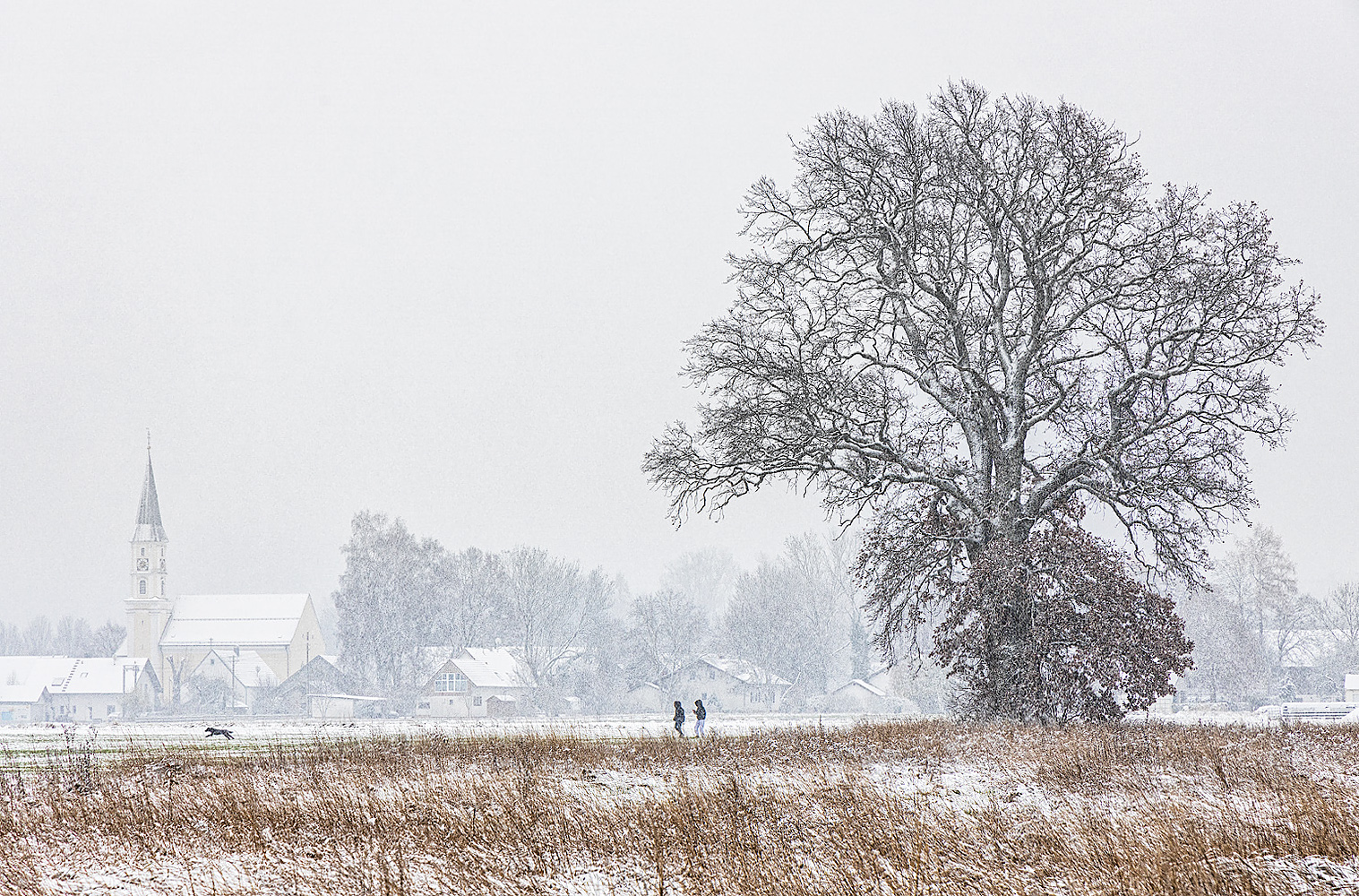 winterspaziergang