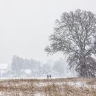 winterspaziergang