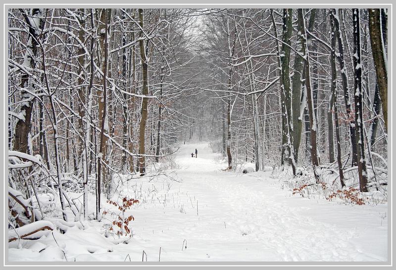 Winterspaziergang