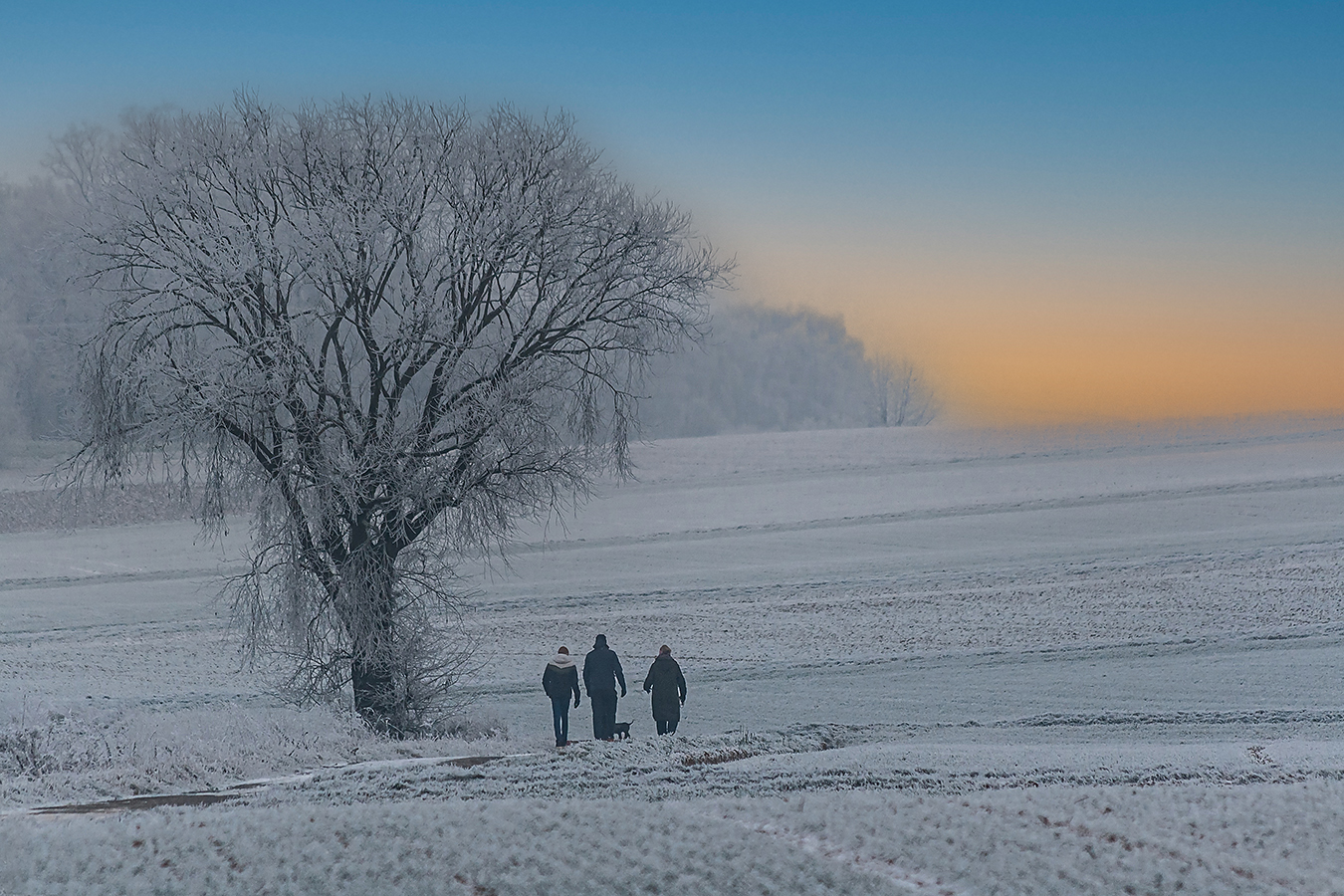 Winterspaziergang