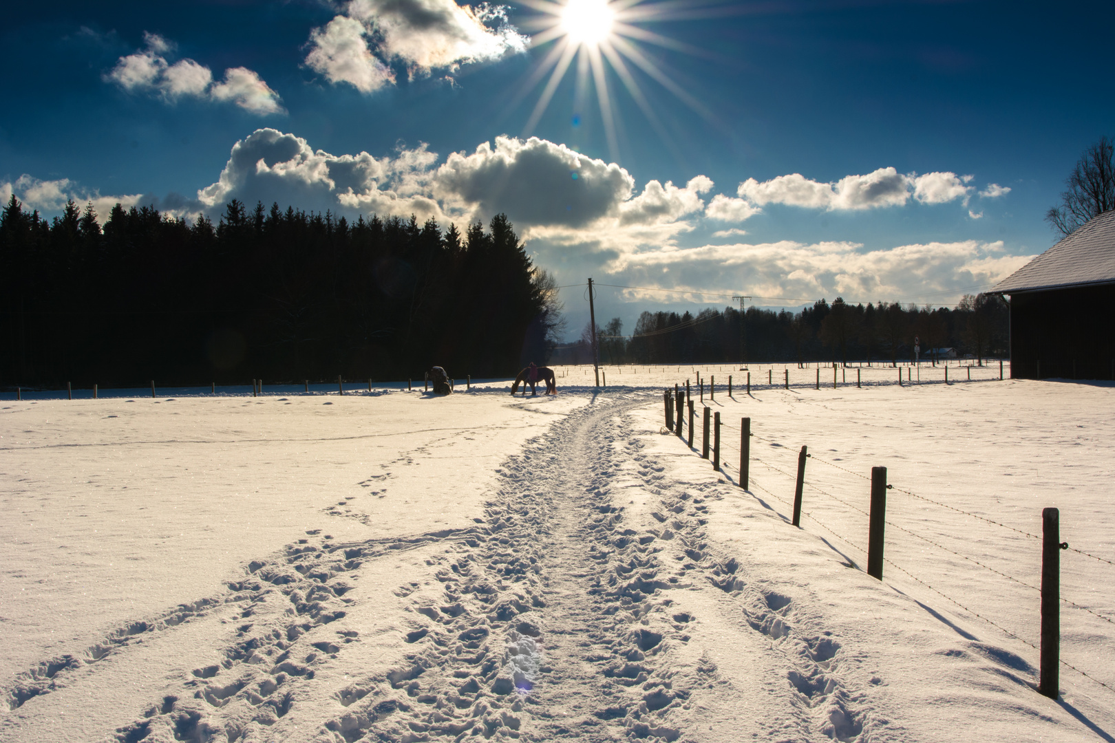 Winterspaziergang