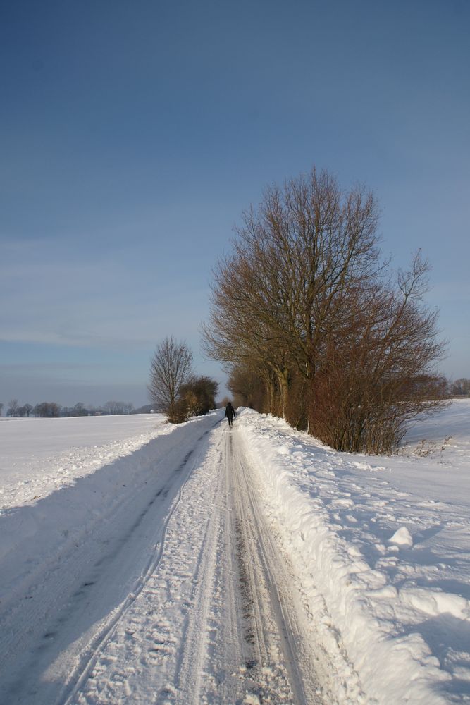 Winterspaziergang