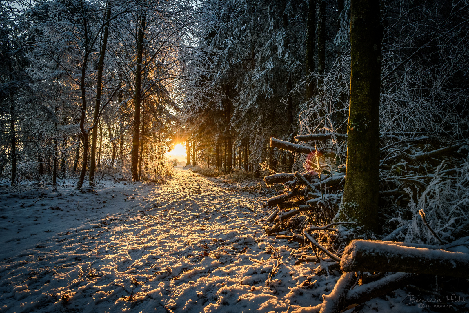 Winterspaziergang