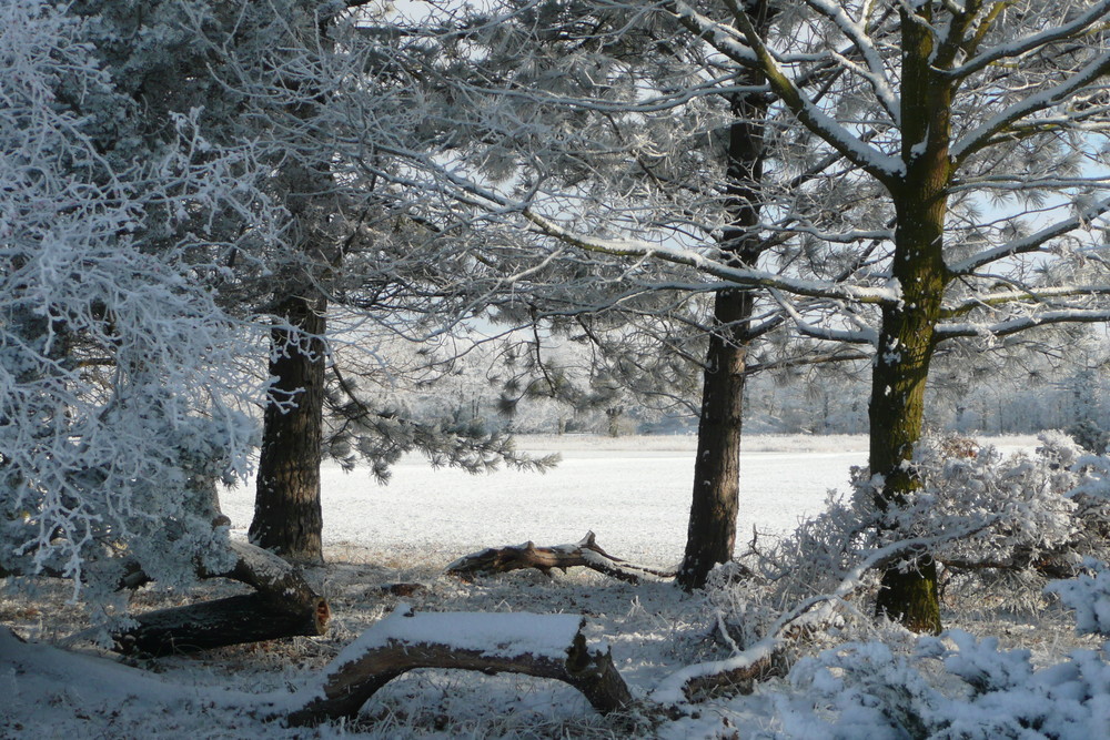 Winterspaziergang