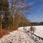 Winterspaziergang