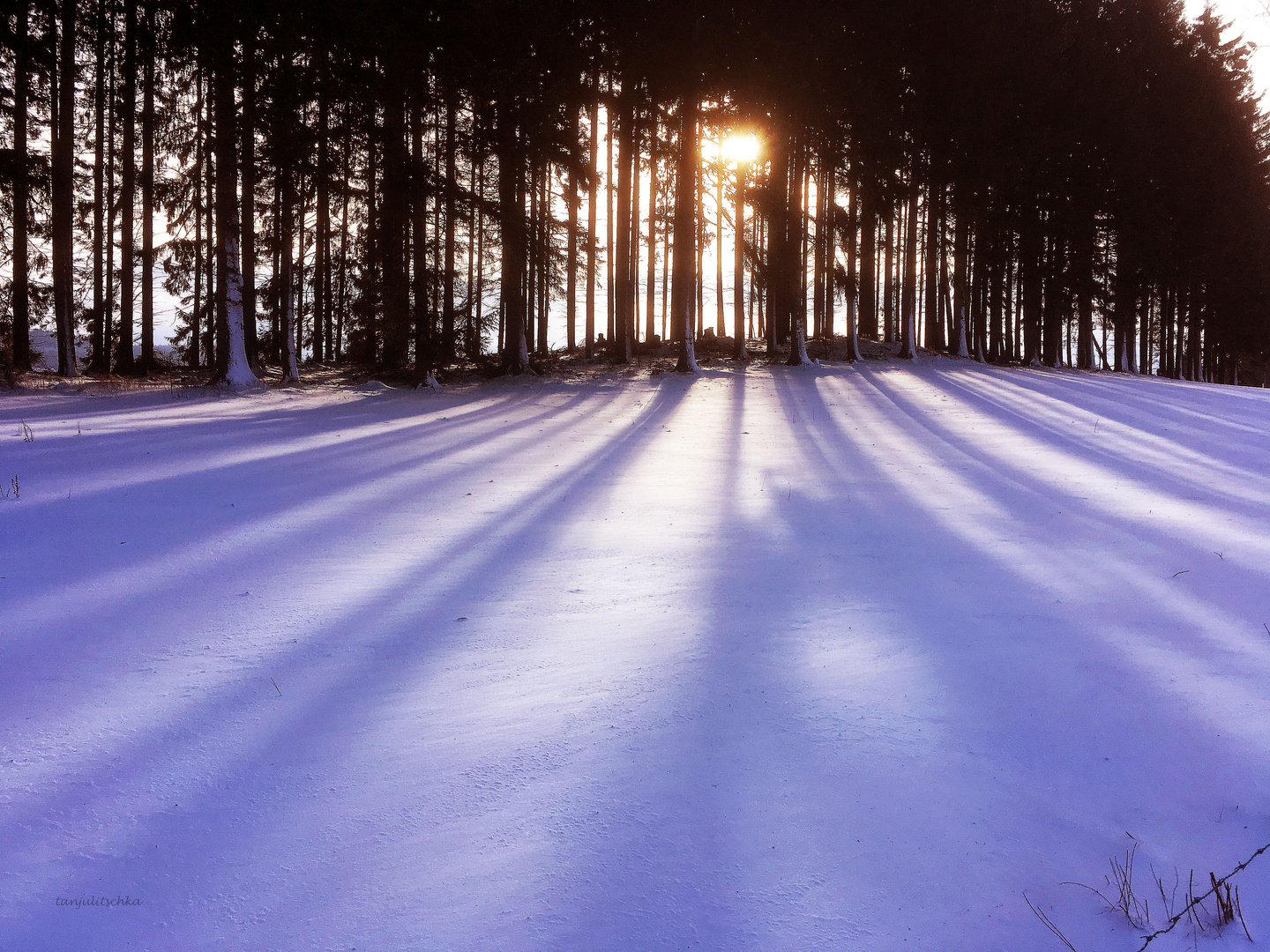 Winterspaziergang