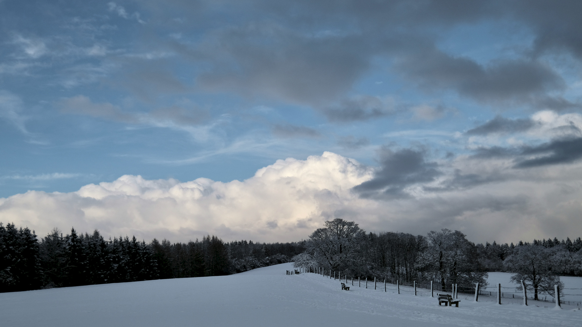 Winterspaziergang