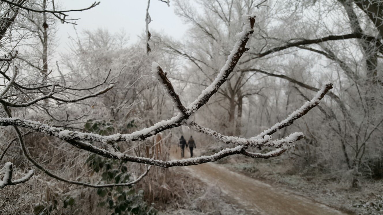 Winterspaziergang