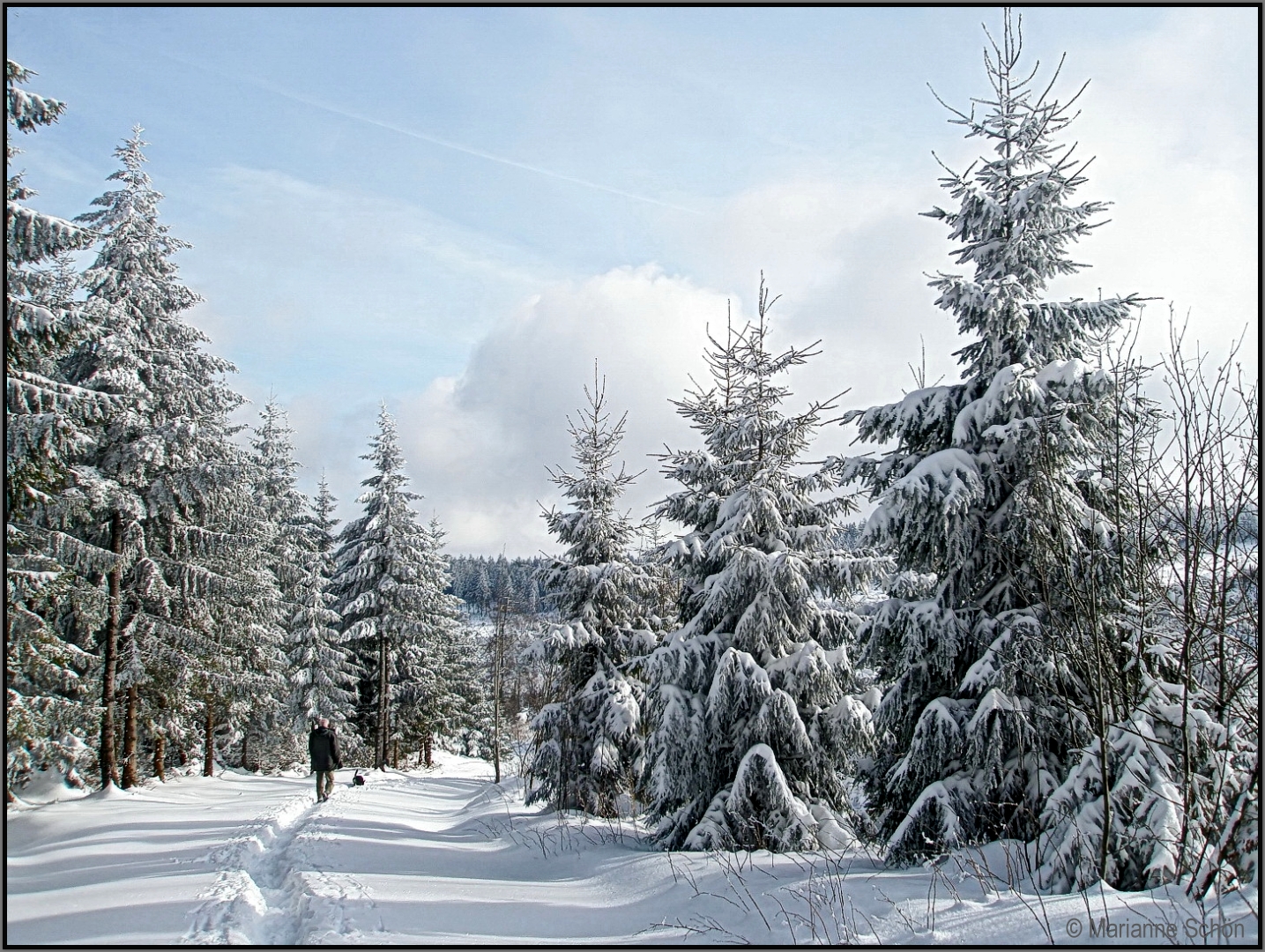 Winterspaziergang...