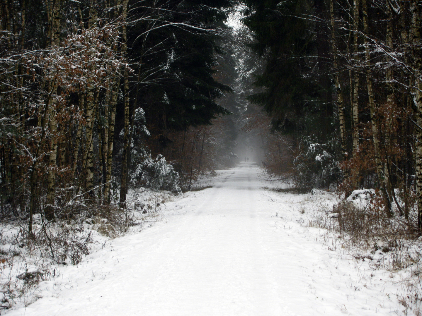 Winterspaziergang