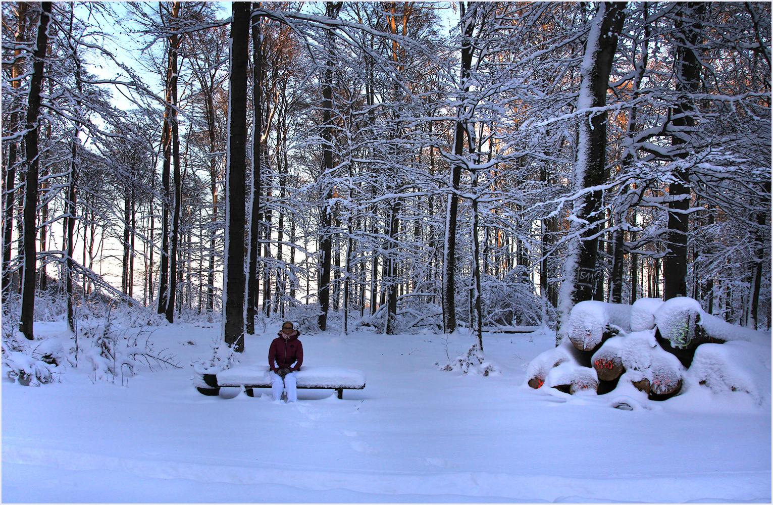 WINTERSPAZIERGANG Foto & Bild | wald, sonne, winter Bilder auf ...