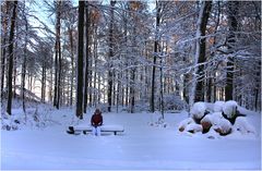 WINTERSPAZIERGANG