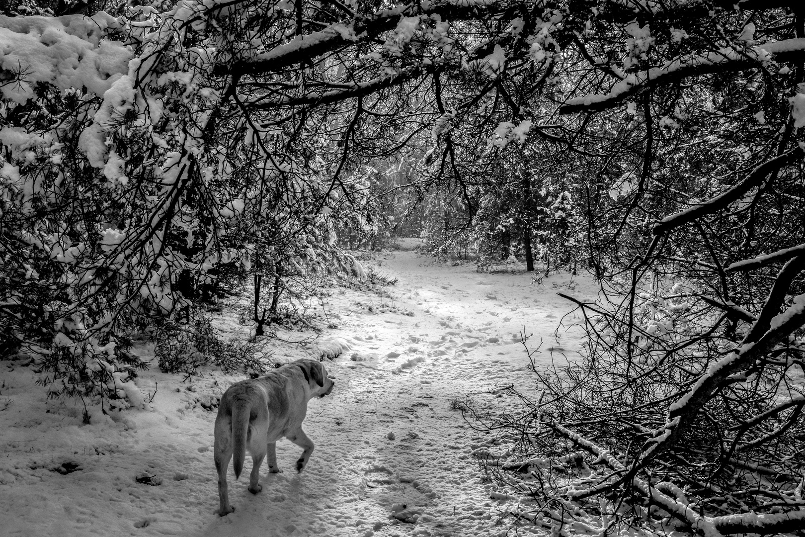 Winterspaziergang